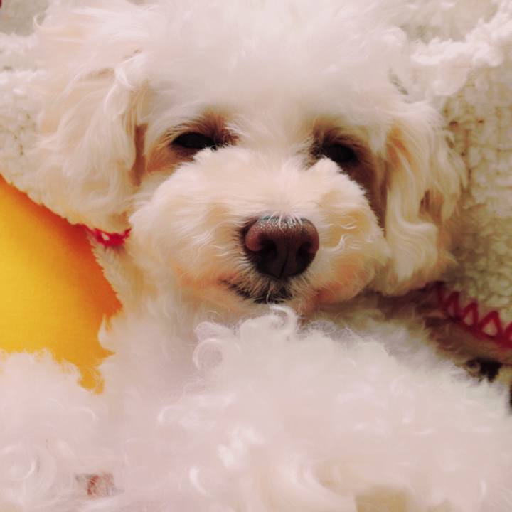 485a37fe 23bb 4c93 bb31 96a5f95cbe0f