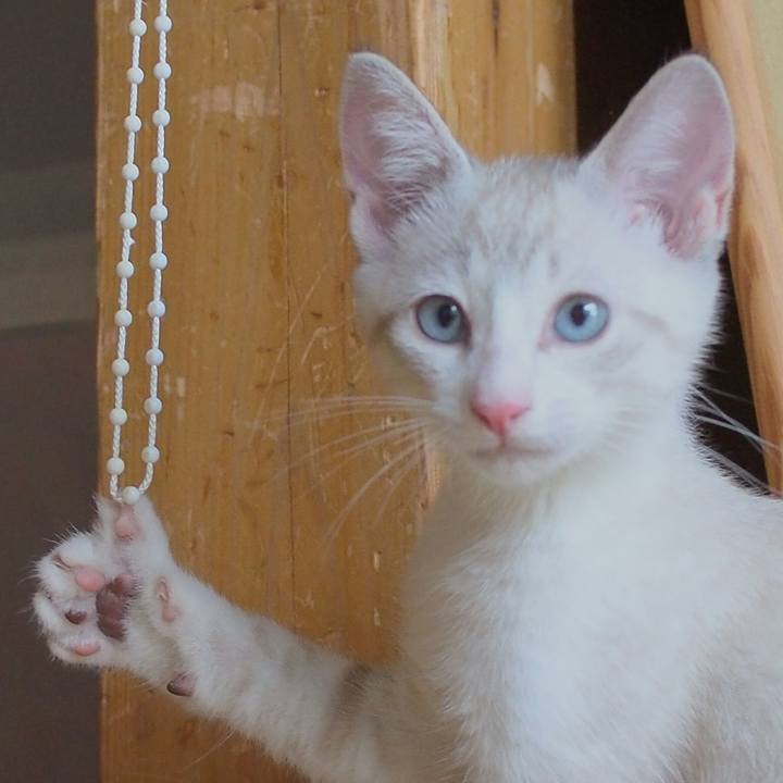 485a4838 37ca 4e64 b0f4 a1c16b3533a2