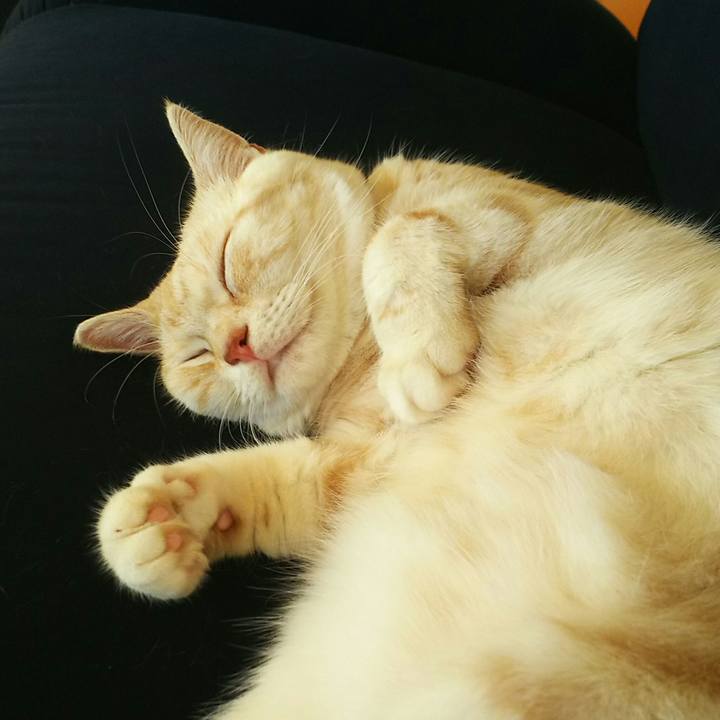 485a662c 9d72 4c63 942c 5e286f7a54cb