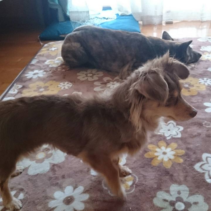 485a7764 bba3 41b5 ae87 2599d895f53f