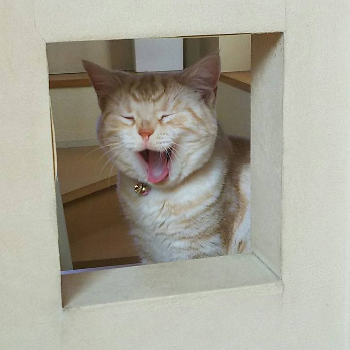 485b07e5 e93d 4ea7 90bb c4ced7b58a83