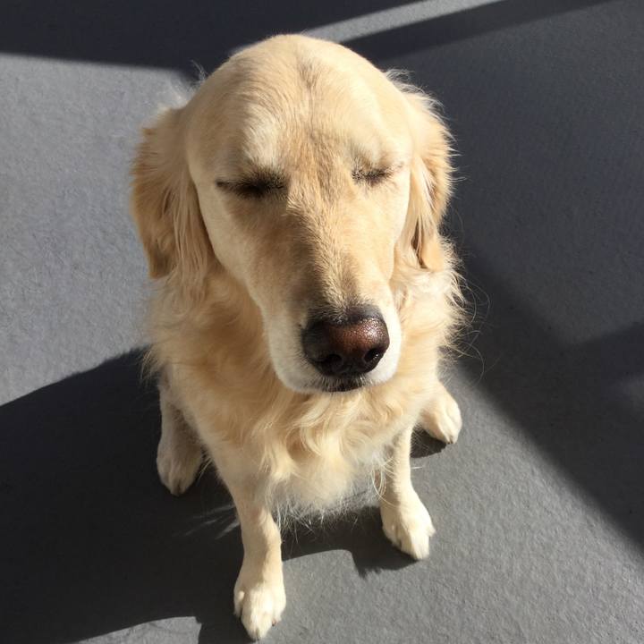 485b2615 2fd2 4656 9cfc cb6fd9104e66