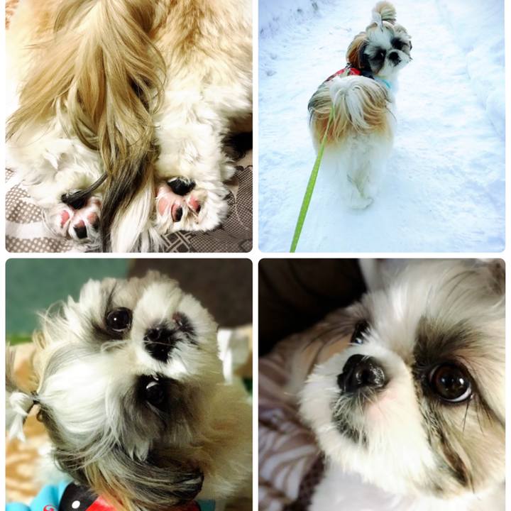 485b53b6 8d5a 4e98 8c02 04af1f2cdff9