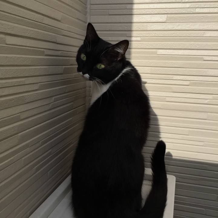 485b58f9 f8fc 4438 a5b5 4bb654e2d780