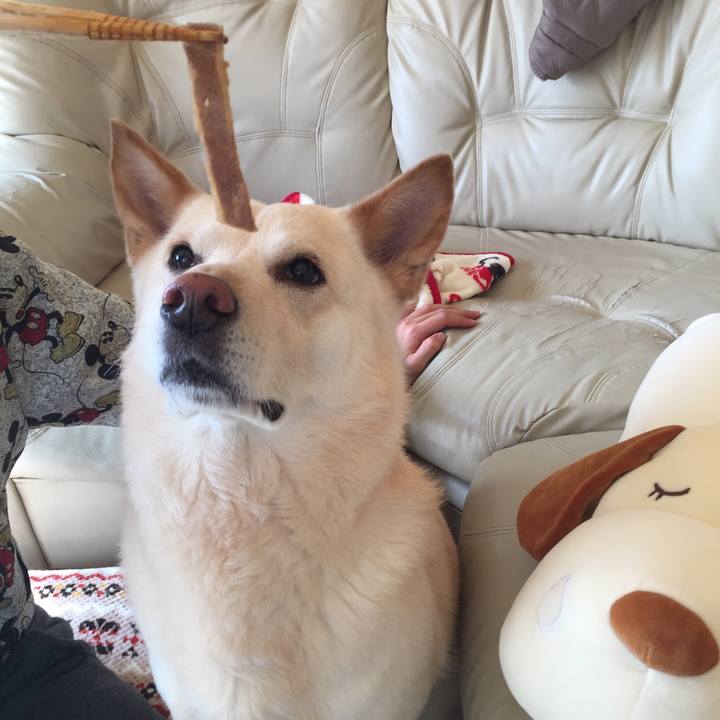 485b7182 af0a 4157 9e12 e8287a5bc7c1