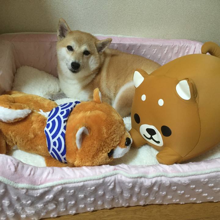 485bb5f2 82e8 4ea4 aa12 01f617c7d51e