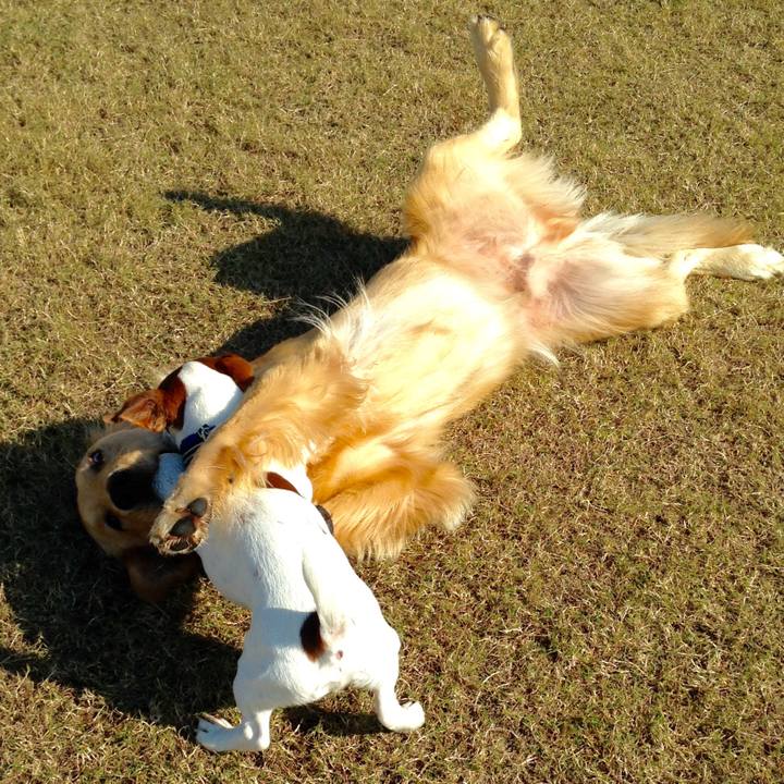 485c0774 2ab5 4f84 8898 f13d5e5fd471