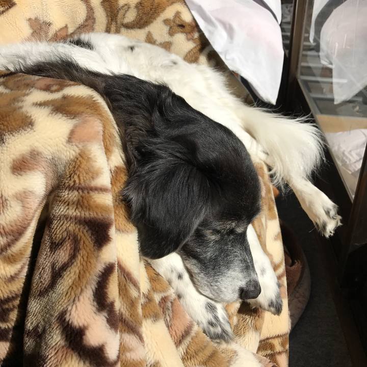 485cdc54 0a21 4793 8bbc 0e5a157b7ae9