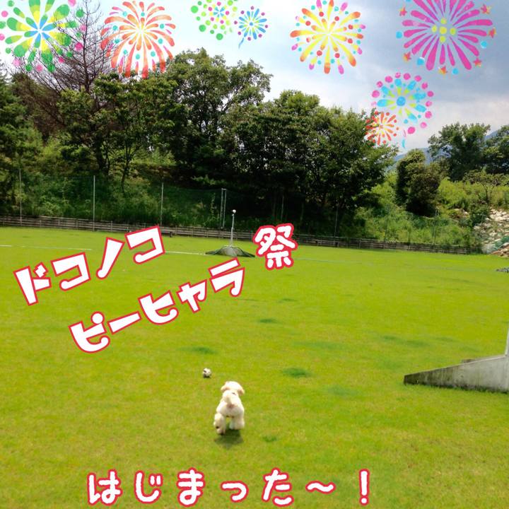 485e070c b6eb 43a9 9215 ac295e74ef66