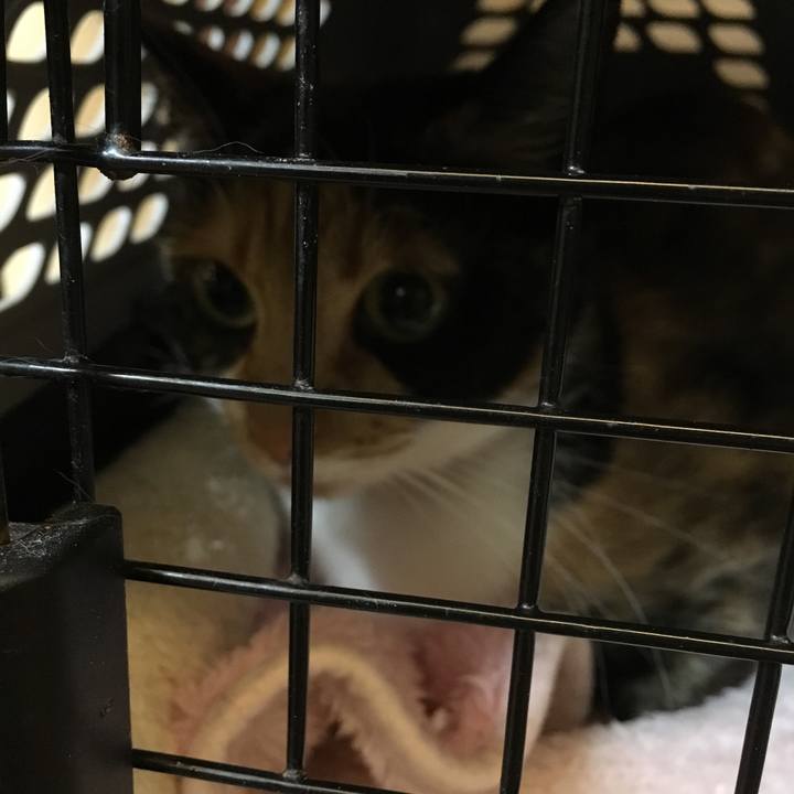 485eb5f3 56be 4a1d a5b2 a2356e795856