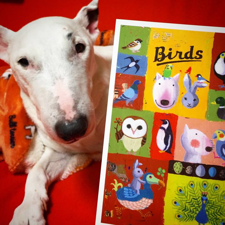 485eb7ba 8cdb 4a8d 8dda f90b24d73197