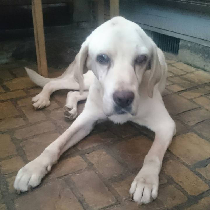 485ed70d dec6 456c 994b ac7e9ee5b7cb