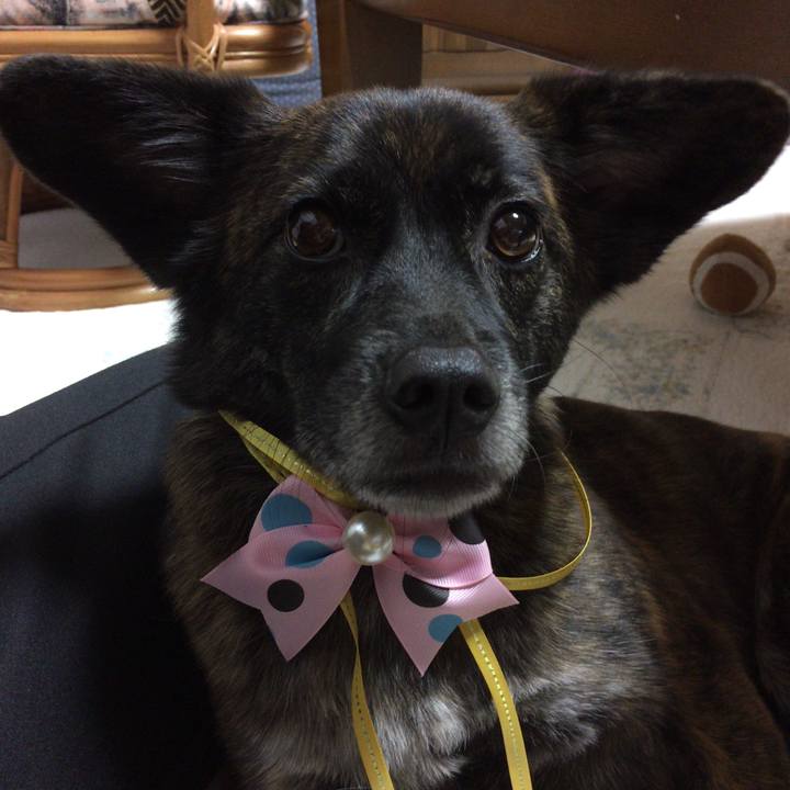 485eee7e ff6b 436d bfba 5ce9278ff5cb