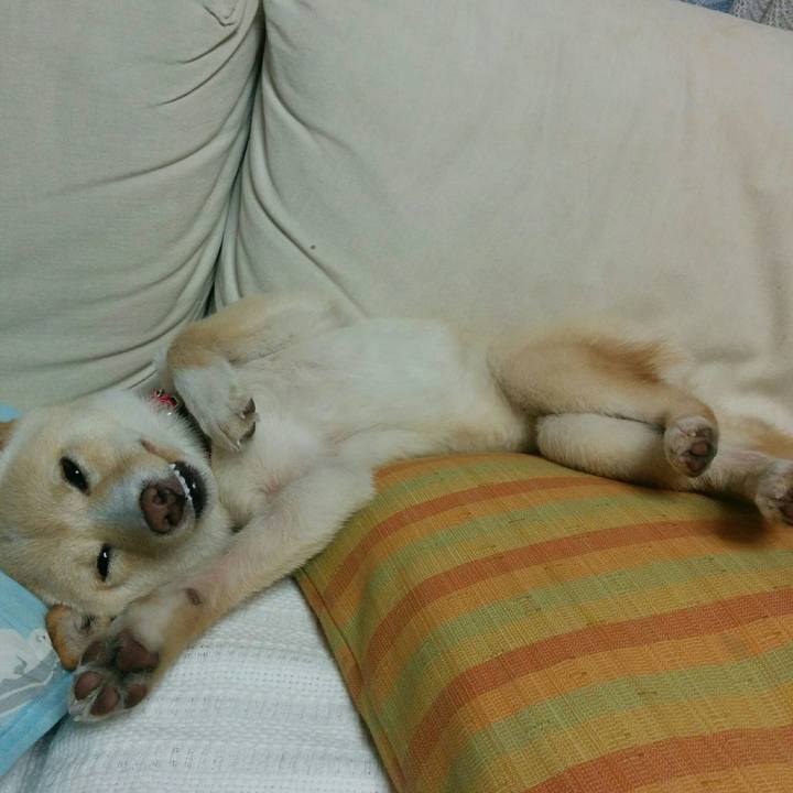 485f89a9 51e5 40c1 9e11 114919b8f27c