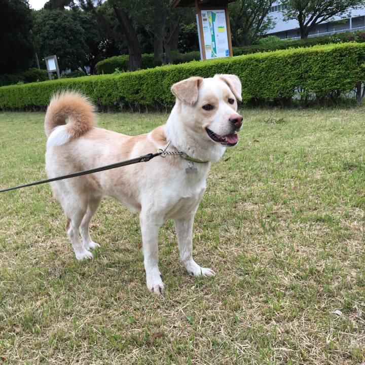 48602e9c 0f50 4fba afc7 79555369b7ac