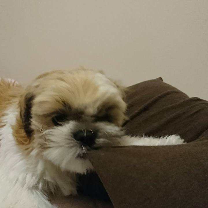 486073b2 c808 409b 9e3e 2e3949f29746