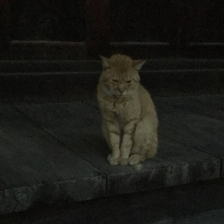 4860dfa6 2ff8 4d65 ae15 c09601d90cef