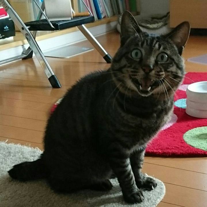 48611f96 1ef5 4be1 9789 d0ceb1d26e52