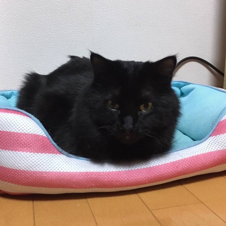 48616117 42da 4802 a09d cfb99e8192e4