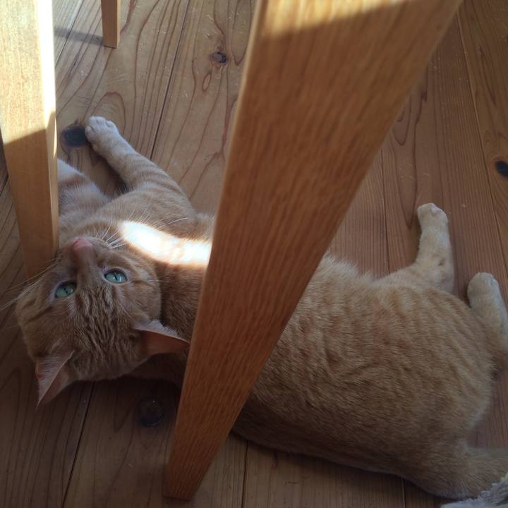 4861cf39 227e 45e2 b7bb ef7d45dddaeb