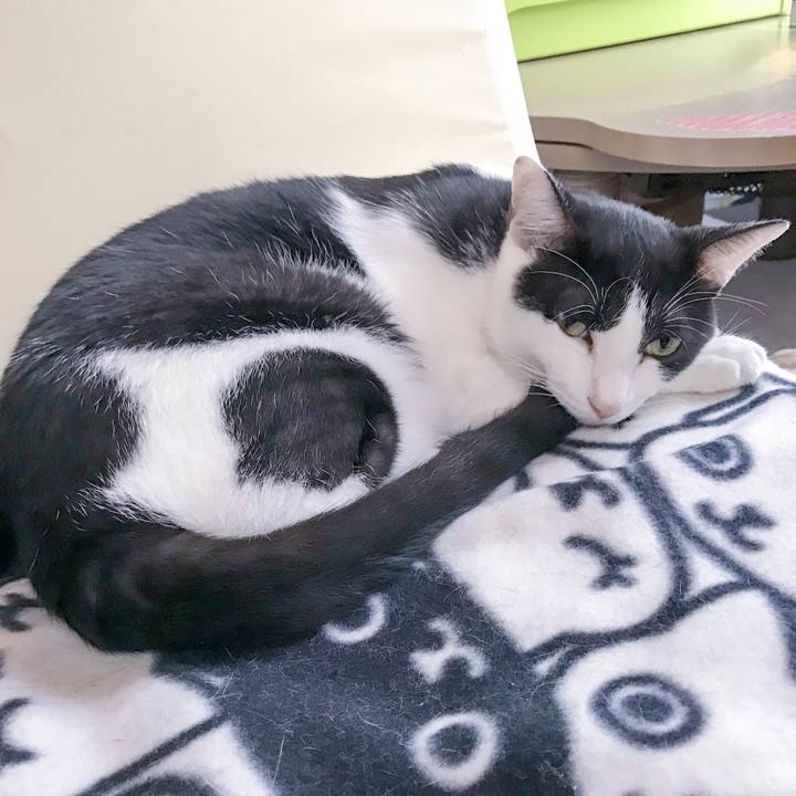 4861dc2c 7d66 4637 b6a4 df61a6fcc0c9