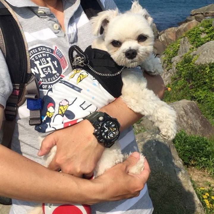 4861f828 abd3 4085 a6d6 cba5a2211481