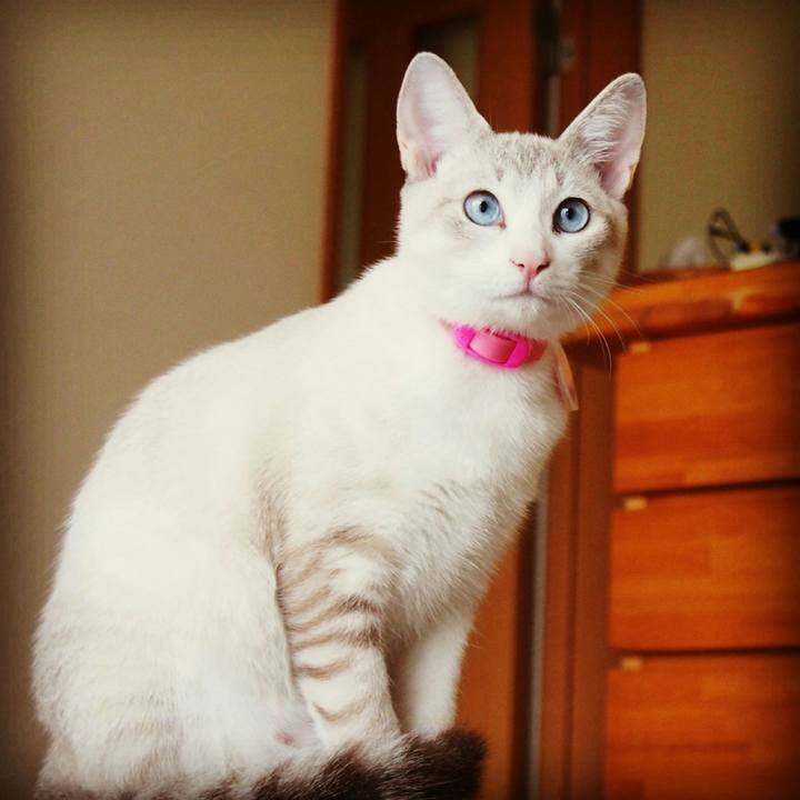 48639dd1 70b0 41b3 af5d fade4c1a52a2