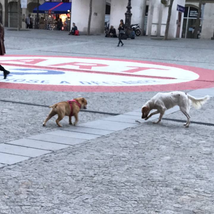 48642c7b 2ad4 4062 aa9b a052bbc414cb