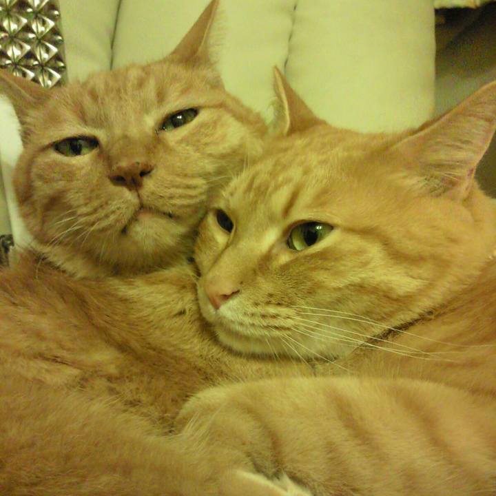 4864a8e7 4161 4a4e 9f53 b5145093a9c4