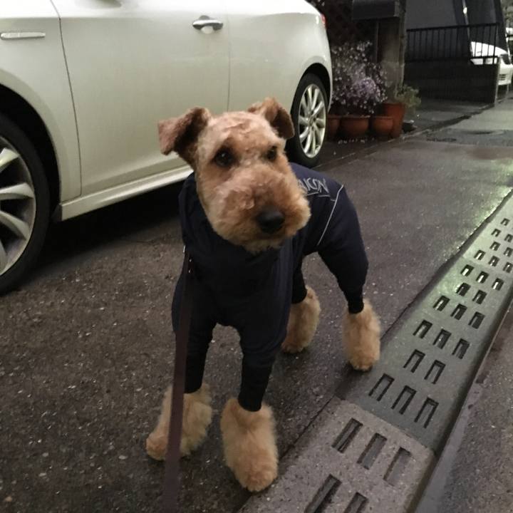 48660eca 150a 46de bea5 7763cb02467a