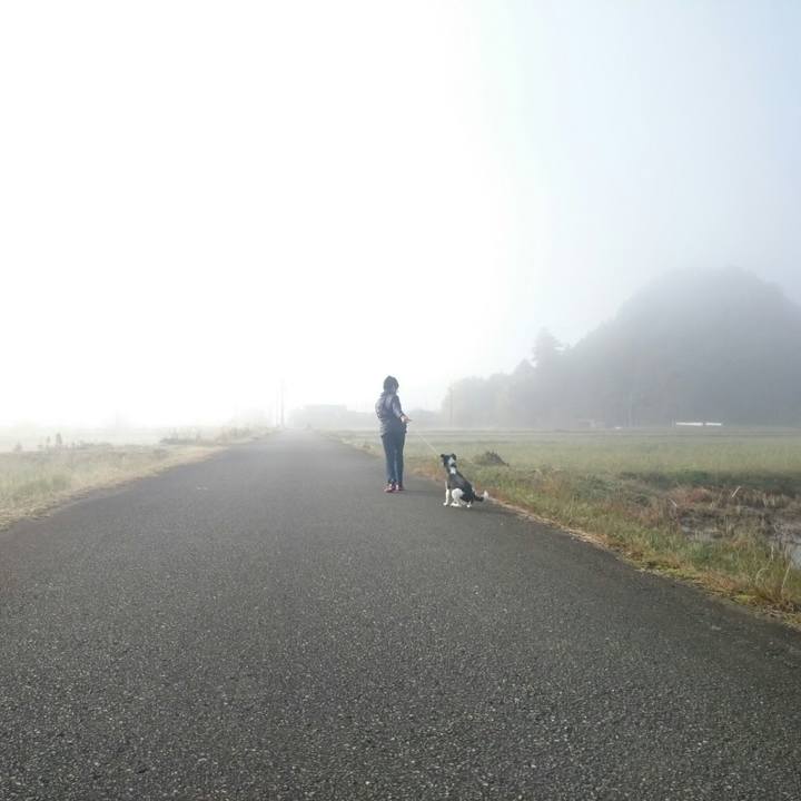 4866126a 5e49 4ee7 bd90 1166c14f02e6