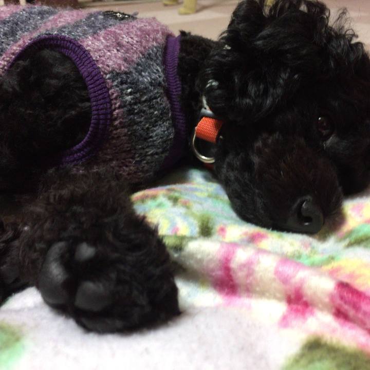 4866129b 0d49 43e0 888e da600b363646