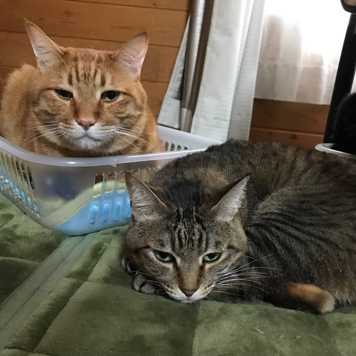 4866ec20 b939 42dd 8086 f88284ed62eb