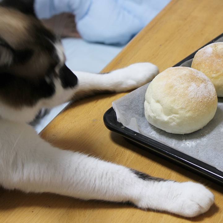 4866f270 31bd 445b 9785 55e8b62da8ad