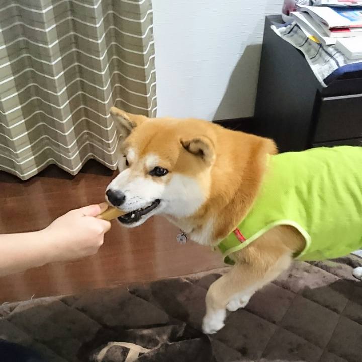 48675407 0a7e 4d3c 96df 0f9d7e3f61fe