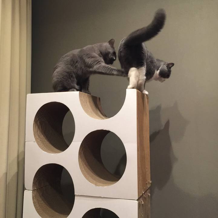 486756d7 90ef 45a8 b916 2a262a69d572