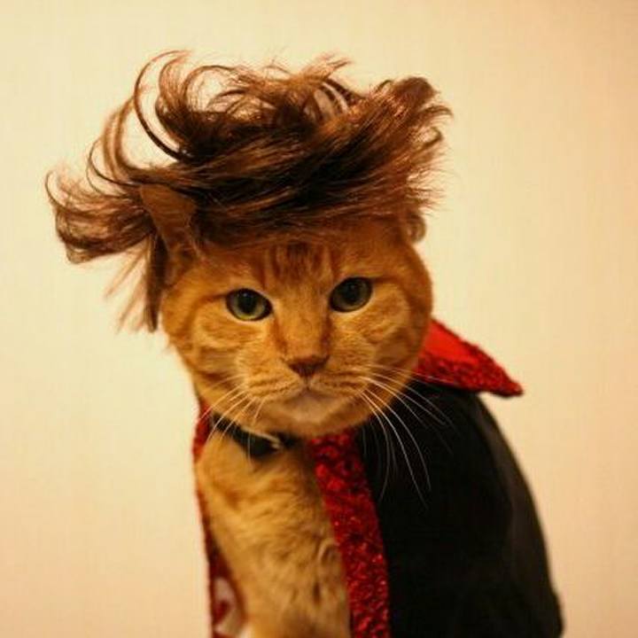 486796d3 822e 45f0 8eb6 9de9d54ecb1b