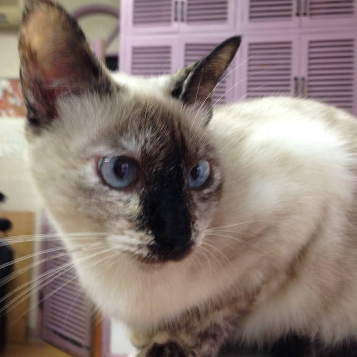 4867d8f9 2a8a 4258 9fb4 1f8dc43782b2