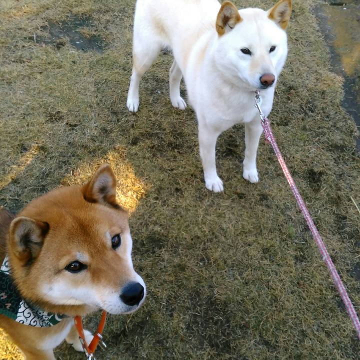 486841da 686d 43e2 b39f 9c08dd643f4f