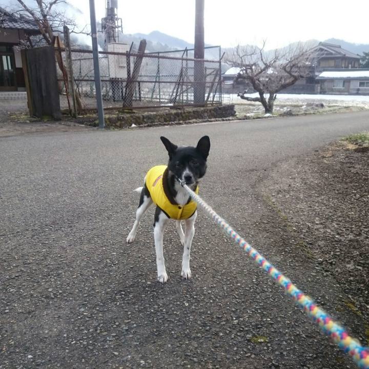 4868bdc1 5c31 4f85 b754 a08465d61b24