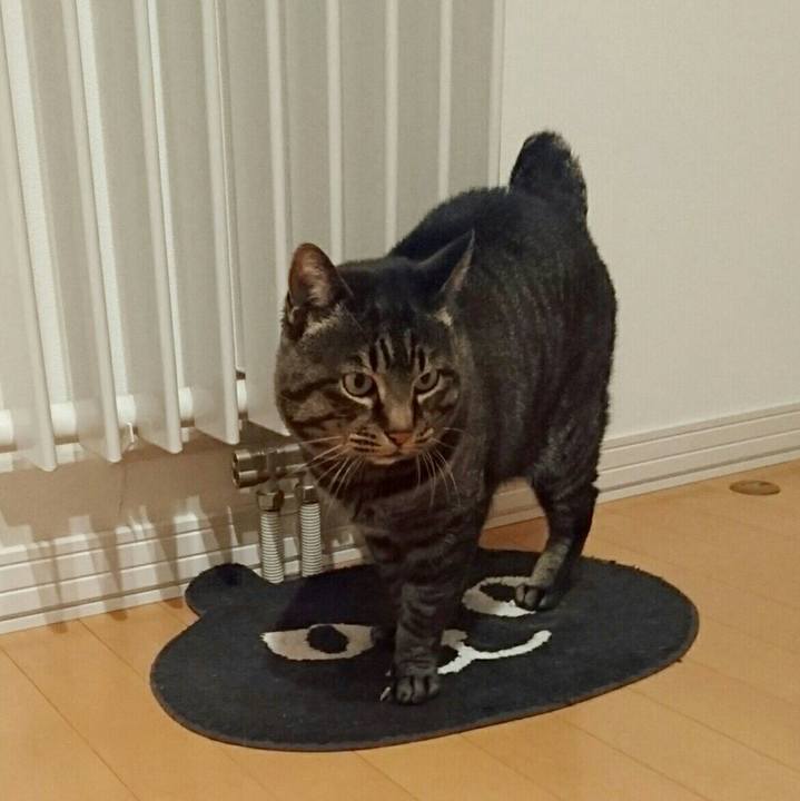 48697660 9c75 4ecc 82a6 cea007f08acb