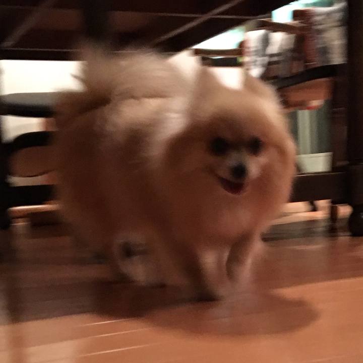 4869b43c 25d7 475f 8256 1d4ca64cbe3c