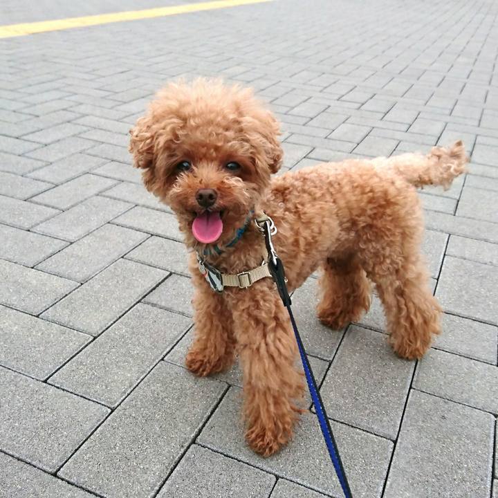 486a1ce2 09c6 42fd bbcf 34728d41b636