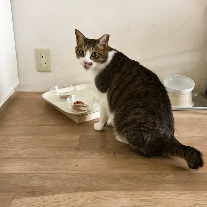 486a4e05 c2aa 4baa a5e8 37436a9721fc