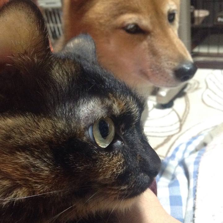 486a5648 c26f 4eac bf29 57255b91a8db