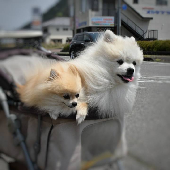 486a62b2 94a2 4fff ba5a b01e86c1ead4