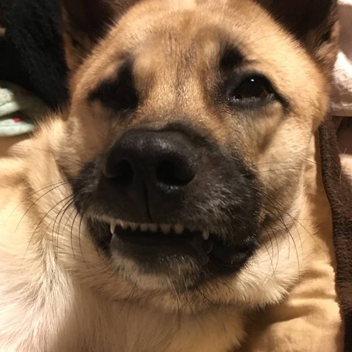 486a7676 2c0a 4cf8 be4c 7b6e1823538b