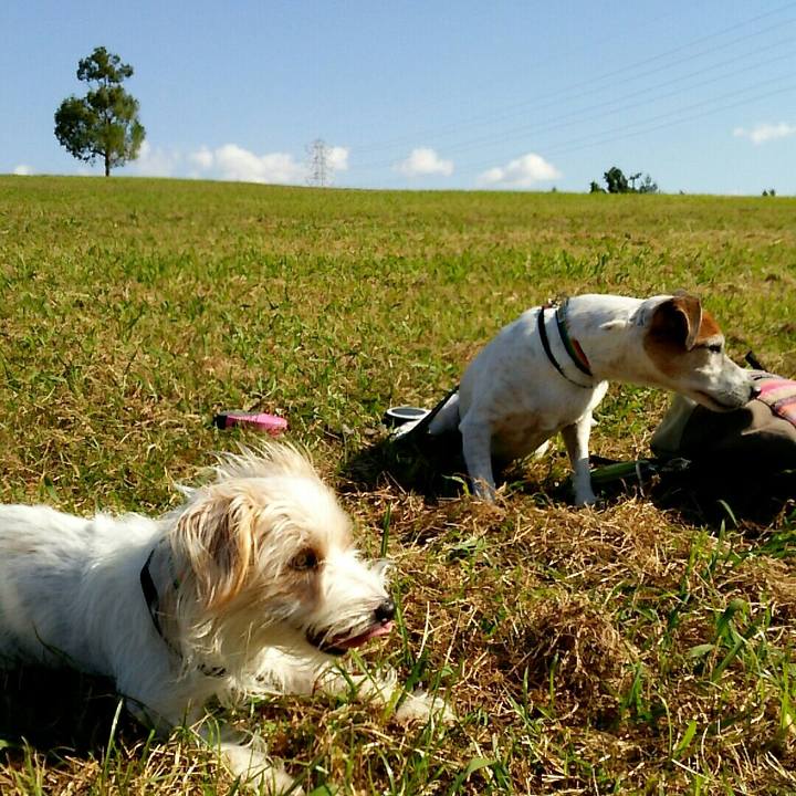 486abfc5 0594 439a 86df ba5ea144d25c