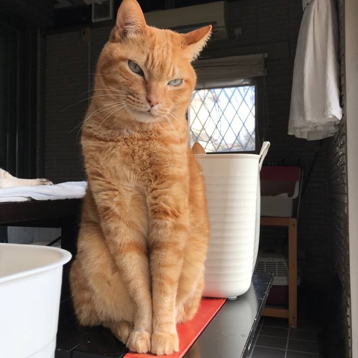 486ada1e 1e0d 42c7 a9b7 0bcb814e01f4