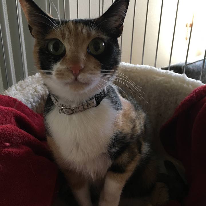 486aec41 296c 432c 9caa 2485e1ab0a9d